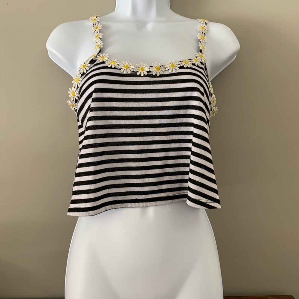 Dandelion stripped crop top